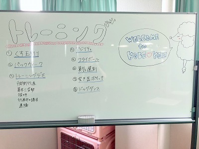 IMG_6417.jpg