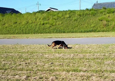 IMG_6975.jpg