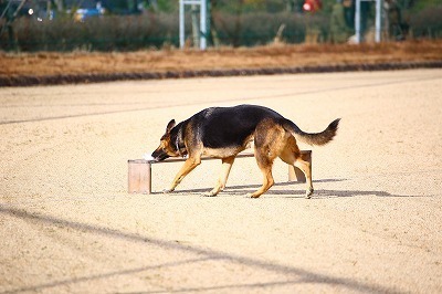 IMG_7437.jpg
