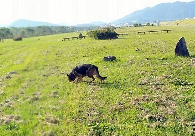 IMG_7529.jpg