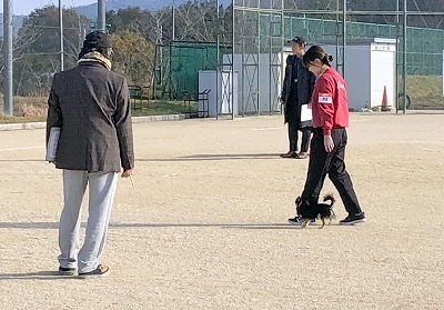 IMG_7865.jpg