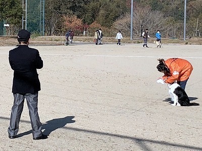 IMG_7873.jpg
