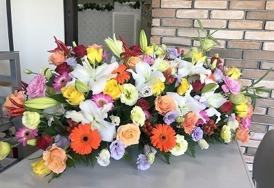 IMG_8525.jpg