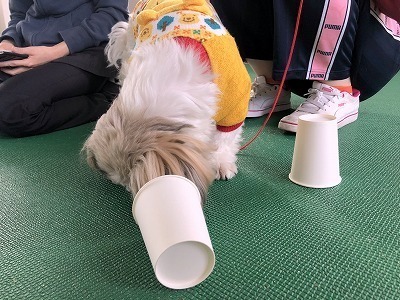 IMG_8636.jpg