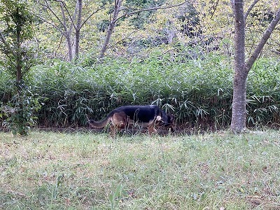 IMG_8815.jpg