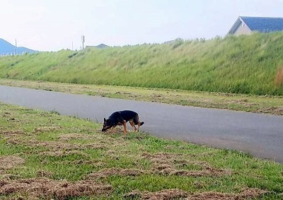 IMG_8862.jpg