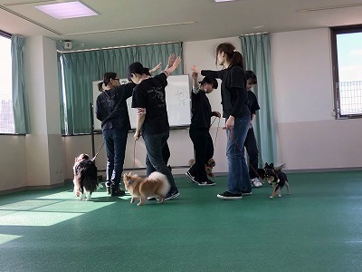 IMG_8954.jpg