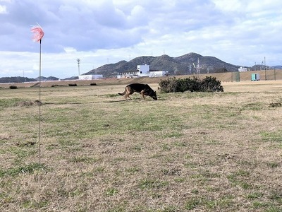 IMG_8985.jpg