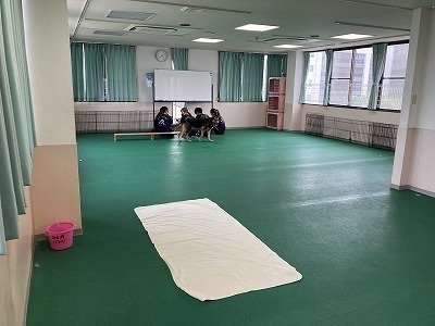 IMG_9241.jpg