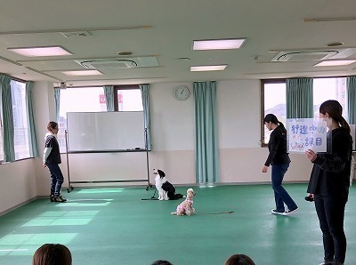 IMG_9368.jpg