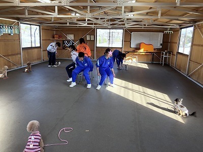 IMG_9493.jpg