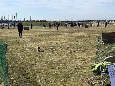 IMG_9499.jpg