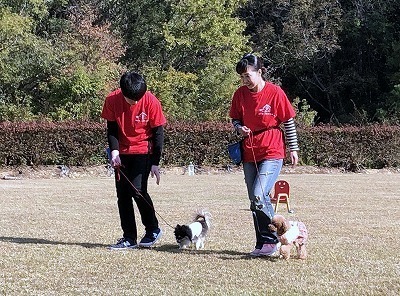 IMG_9565.jpg
