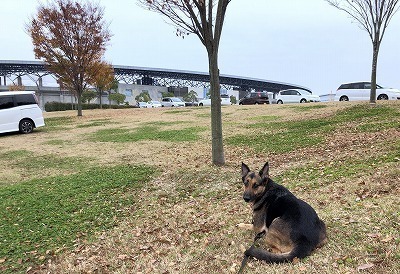IMG_9880.jpg