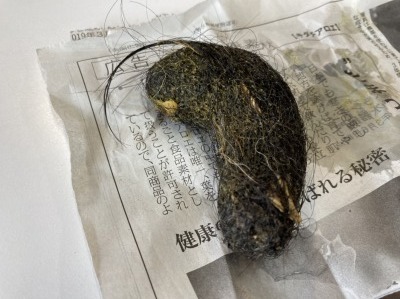 S__2121732.jpg